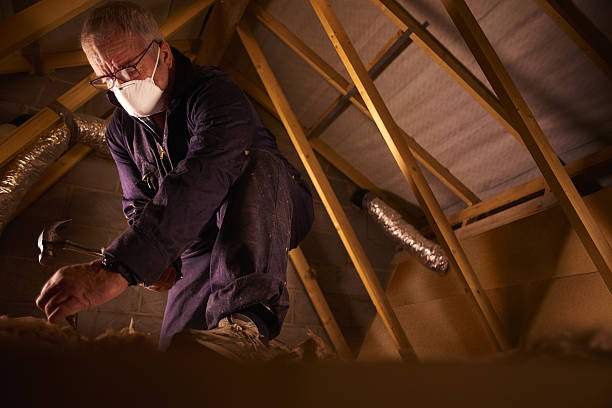 Best Types of Insulation in Walden, TN