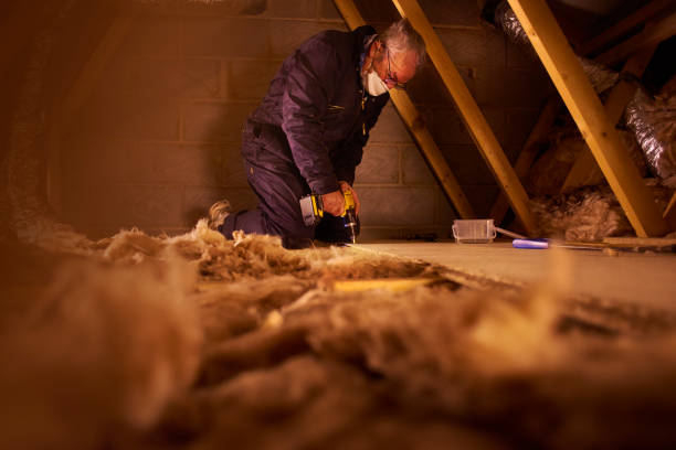 Best Insulation Maintenance and Repair in Walden, TN